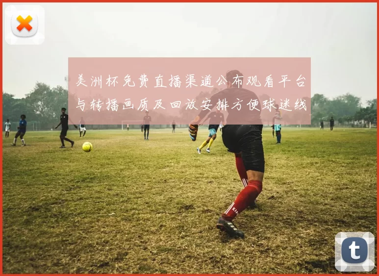 美洲杯免费直播渠道公布观看平台与转播画质及回放安排方便球迷线观看