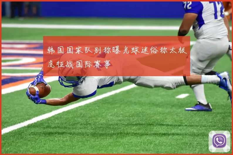 韩国国家队别称曝光球迷俗称太极虎征战国际赛事