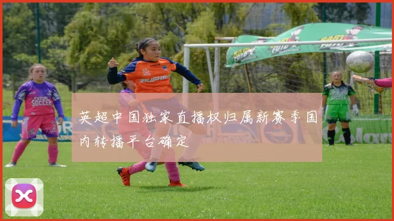 英超中国独家直播权归属新赛季国内转播平台确定