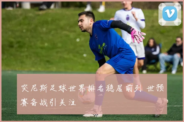 突尼斯足球世界排名稳居前列 世预赛备战引关注