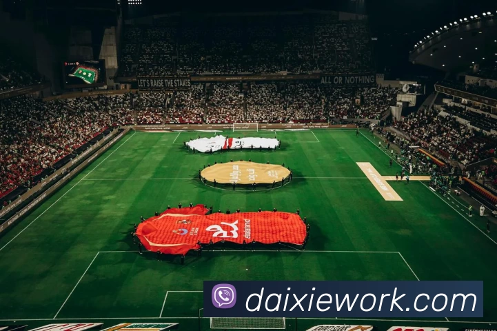 PG国际 - 梦想照进现实,努力成就未来!发展历程